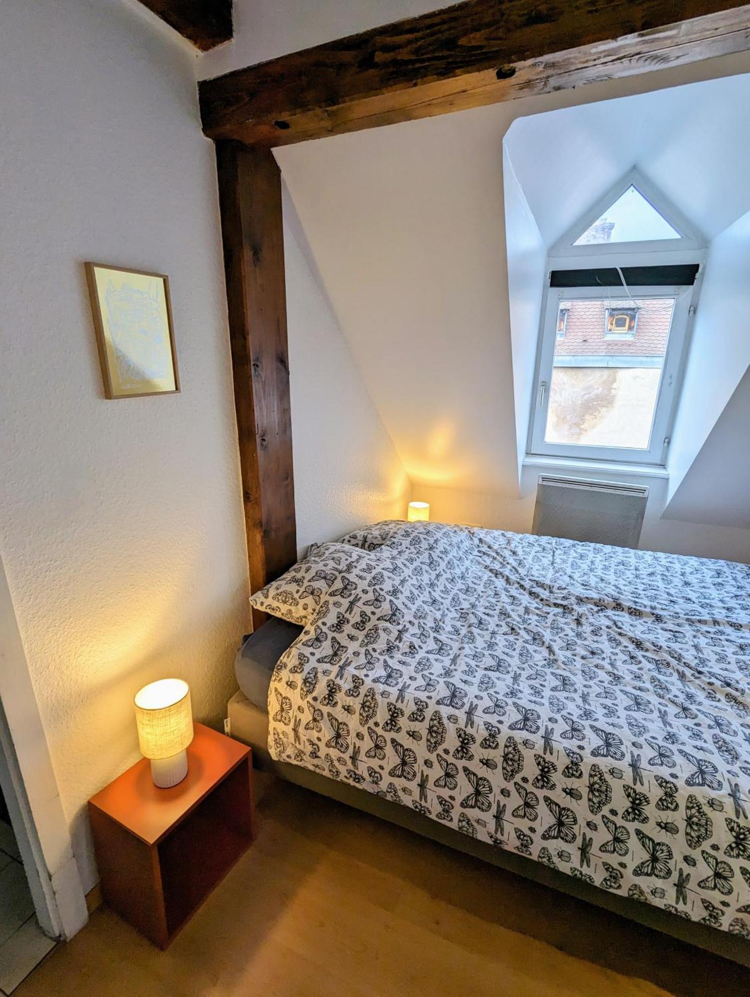 Appartement Des Serruriers Estrasburgo Exterior foto